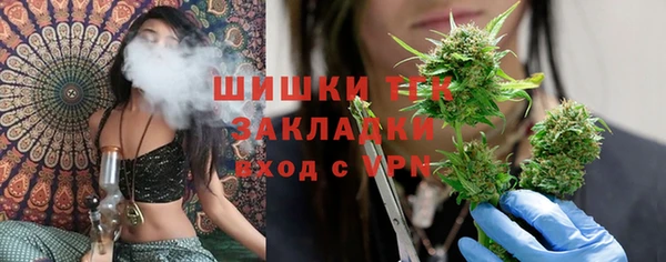 сатива Алзамай