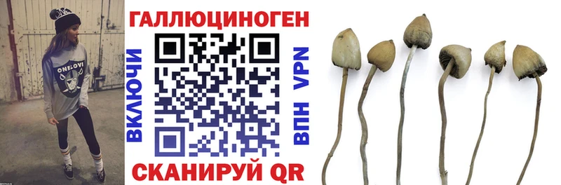 Галлюциногенные грибы GOLDEN TEACHER  Купить закладки  Урай 